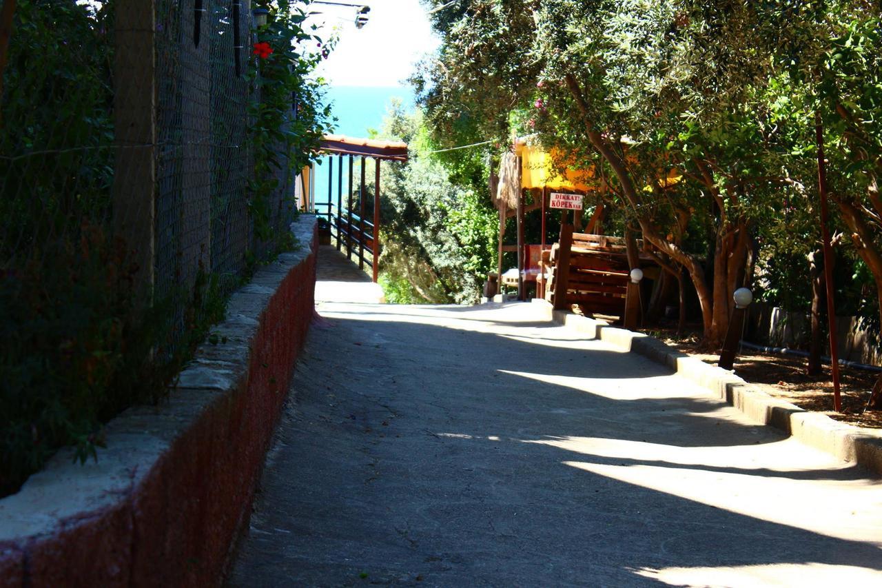 Hotel Schoenberg Kızılot Exterior foto